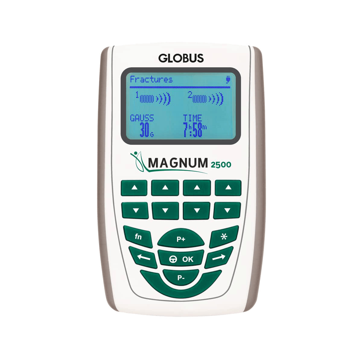 Magnetoterapia Magnum 2500 1 Noleggio_Magnum_2500