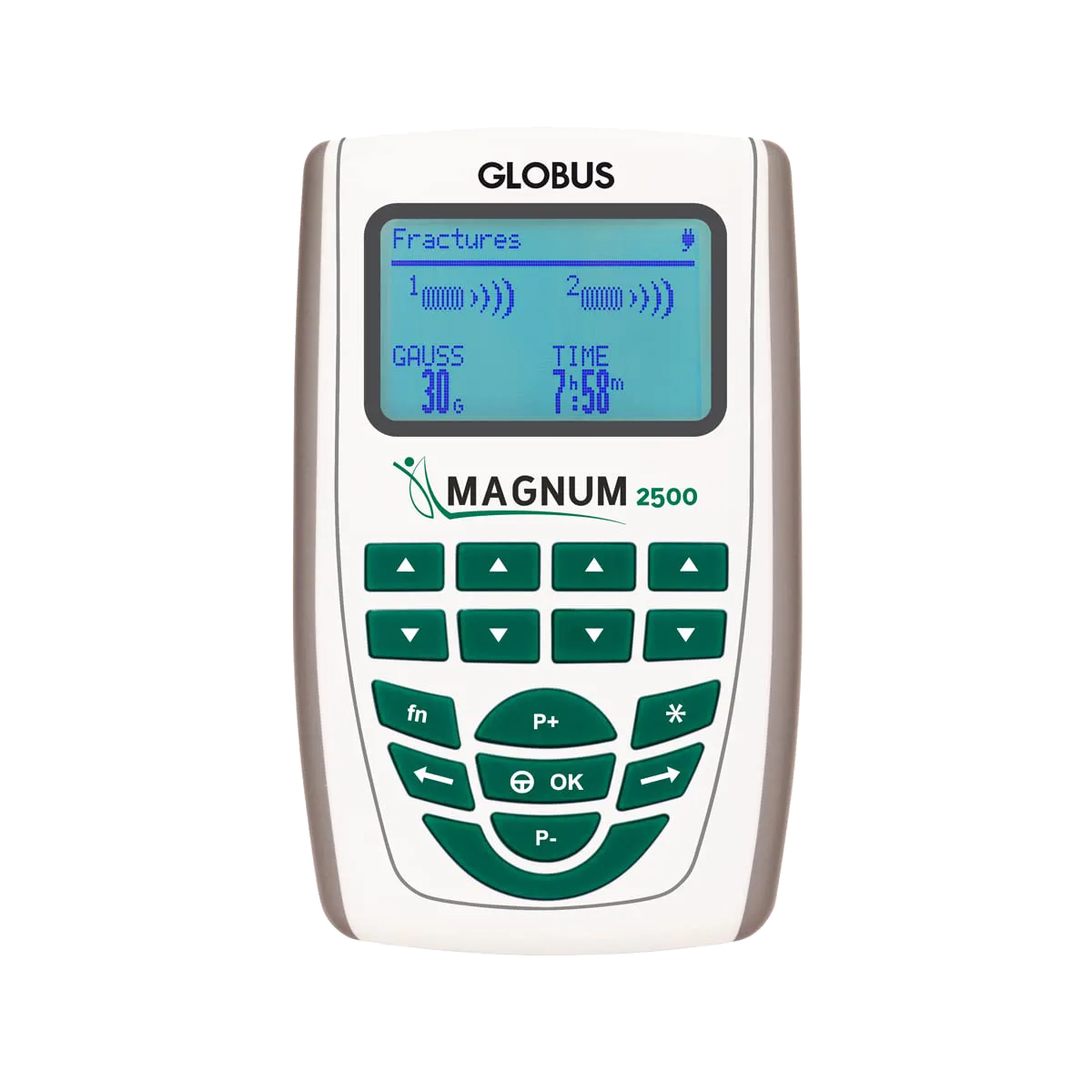 Magnetoterapia Magnum 2500 1 Noleggio_Magnum_2500